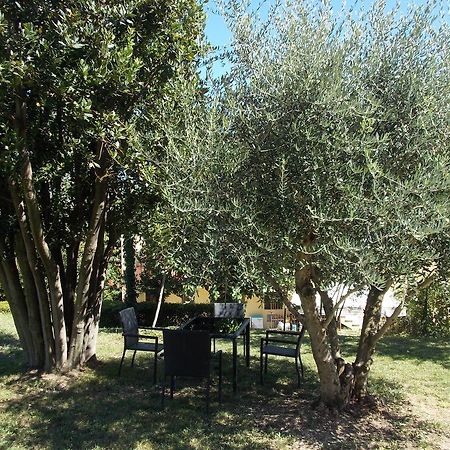 Il Borghetto Apartment San Lorenzo in Campo ภายนอก รูปภาพ