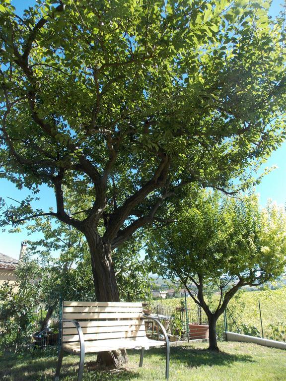 Il Borghetto Apartment San Lorenzo in Campo ภายนอก รูปภาพ