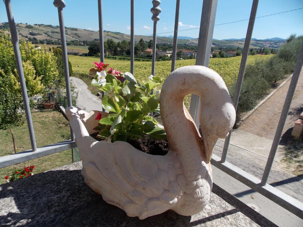 Il Borghetto Apartment San Lorenzo in Campo ภายนอก รูปภาพ