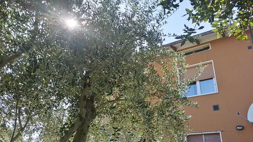 Il Borghetto Apartment San Lorenzo in Campo ภายนอก รูปภาพ